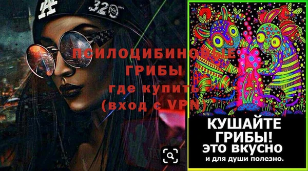 ГАЛЛЮЦИНОГЕННЫЕ ГРИБЫ Беломорск