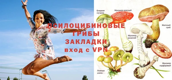 мет Белокуриха