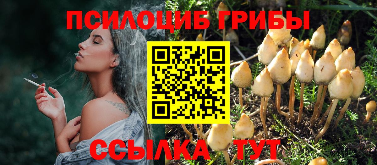 Псилоцибиновые грибы ЛСД Бутурлиновка