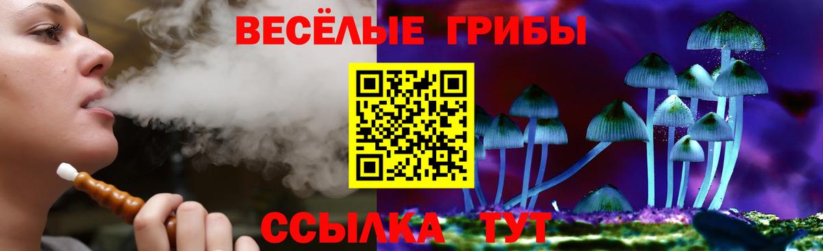 даркнет сайт  Галлюциногенные грибы ЛСД  Вход с VPN  Бутурлиновка 