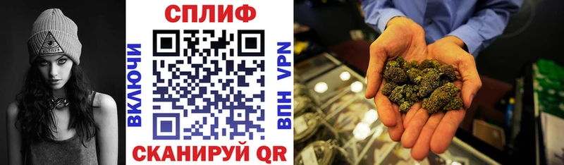 купить наркотик  Бутурлиновка  Бошки марихуана индика 